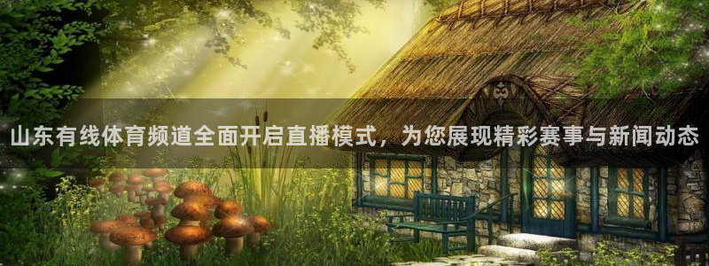 黑白体育直播nba在线观看：山东有线体育频道全面开启直播模式，为您展现精彩赛事与新闻动态