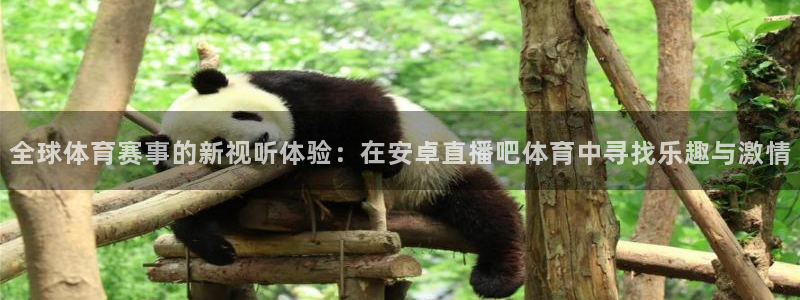 黑白足球直播在线观看：全球体育赛事的新视听体验：在安卓直播吧体育中寻找乐趣与激情