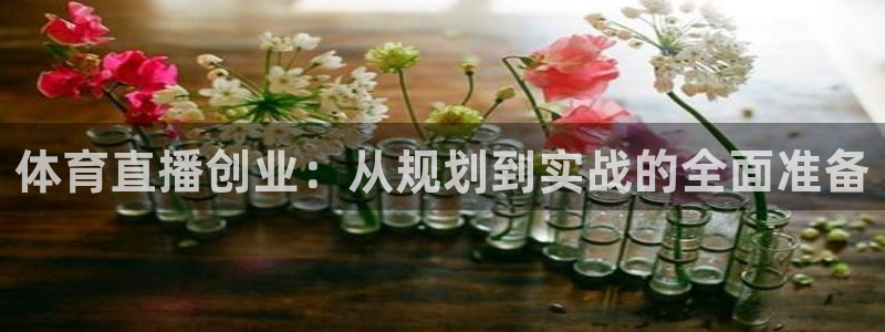 黑白直播足球直播下载：体育直播创业：从规划到实战的全面准备