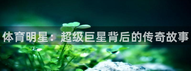 黑白直播体育直播：体育明星：超级巨星背后的传奇故事