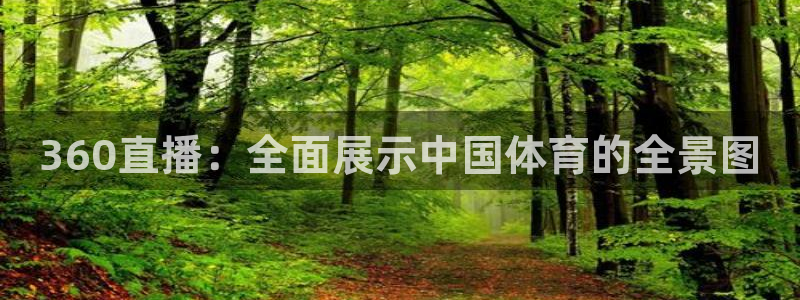 黑白体育直播nba在线观看免费：360直播：全面展示中国体育的全景图