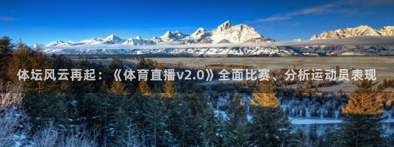 nba黑白体育免费观看：体坛风云再起：《体育直播v2.0》全面比赛、分析运动员表现