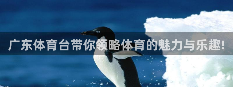 黑白篮球直播免费观看：广东体育台带你领略体育的魅力与乐趣!