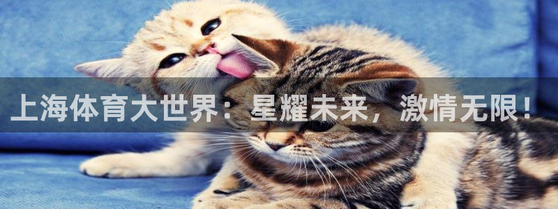 篮球直播黑白：上海体育大世界：星耀未来，激情无限！
