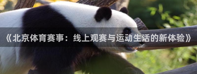 黑白直播nba免费：《北京体育赛事：线上观赛与运动生活的新体验》
