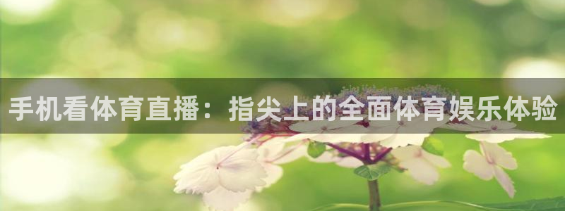 足球直播 黑白直播