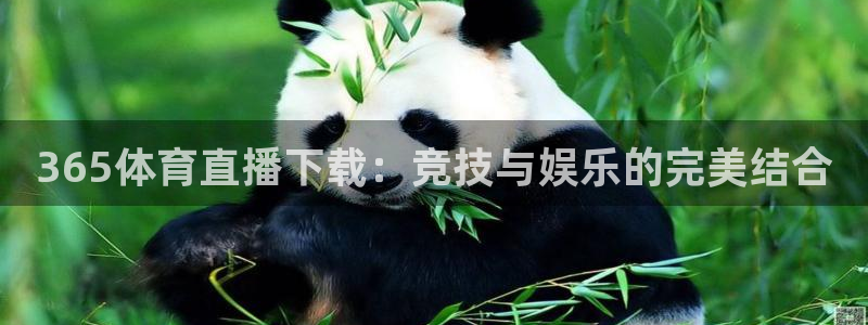 黑白足球比赛直播：365体育直播下载：竞技与娱乐的完美结合