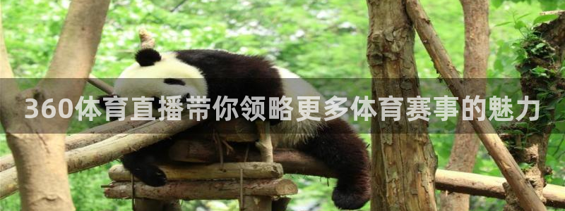 黑白体育篮球直播：360体育直播带你领略更多体育赛事的魅力