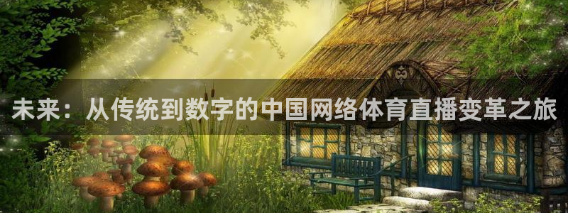 黑白体育直播在线观看：未来：从传统到数字的中国网络体育直播变革之旅
